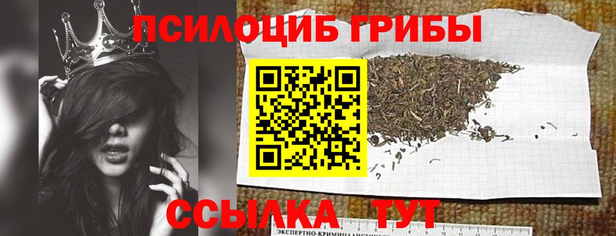 Псилоцибиновые грибы прущие грибы Дзержинск