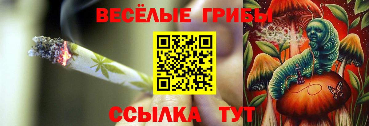 Галлюциногенные грибы Psilocybe  где купить наркоту  Псилоцибиновые грибы ЛСД  Дзержинск  Вход с VPN 